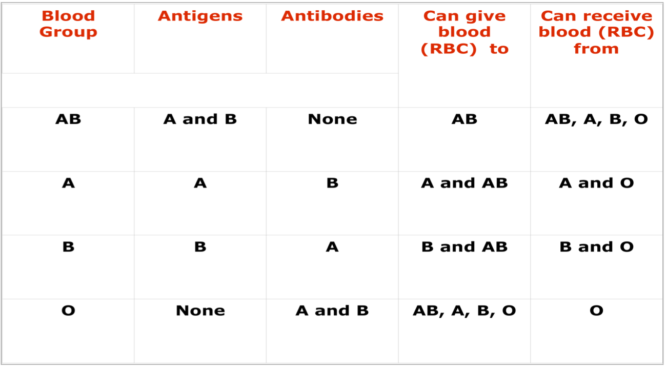 Blood Type Compatibility Testing
